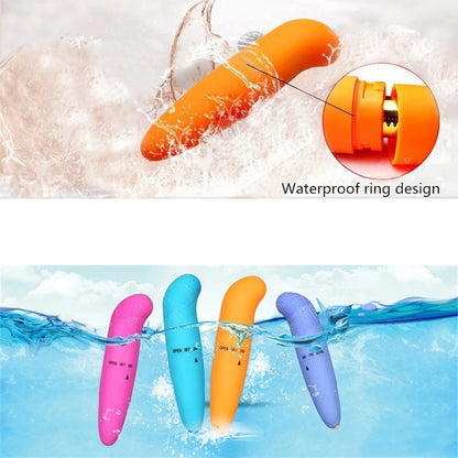 Pocket Bullet Vibrator