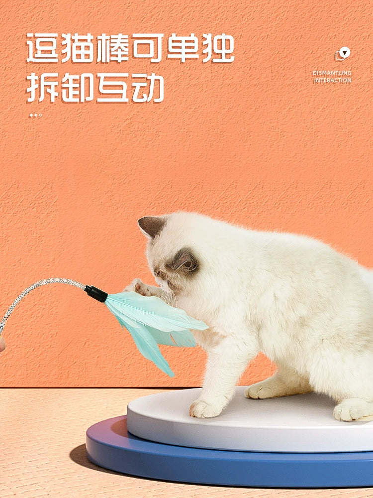 Cat Toy Ziqi Relieving Stuffy Handy Gadget Cat Teaser Cat Turntable Ball Pet Cat Cat Kittens Kitten All Products