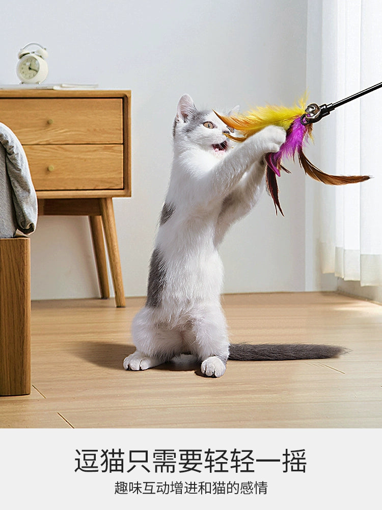 Cat Feather with Bell Teaser Toy