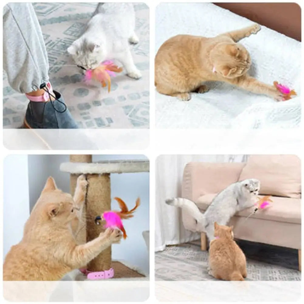 Cat Collar Feather Toys