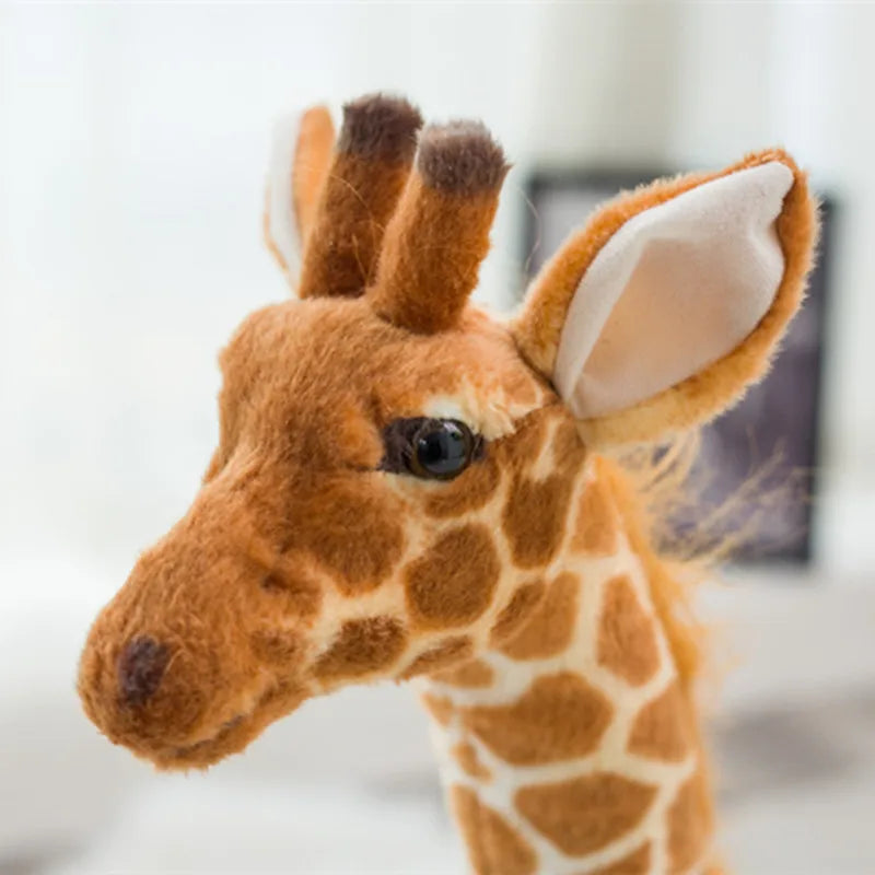 Giraffe Plush Toys